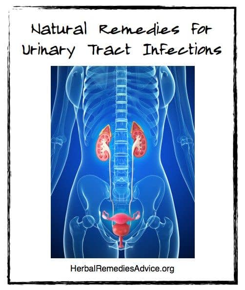 14 best Home Remedies for UTI