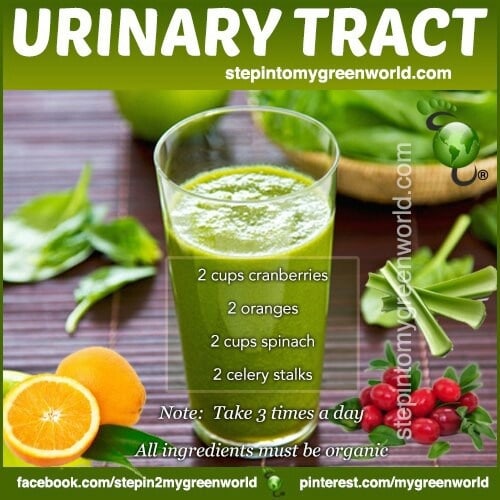 27 best Remedies for Urinary Tract Infections images on Pinterest ...