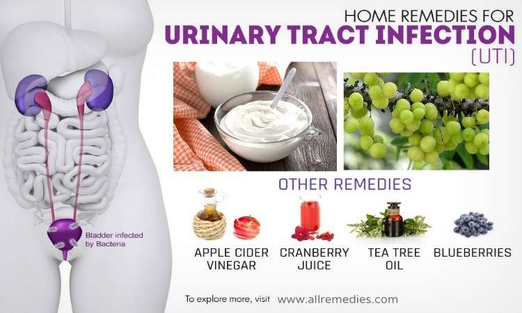 30 Natural Home Remedies for Uti Infections in Women &  Men