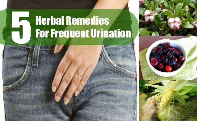 5 Top Herbal Remedies For Frequent Urination