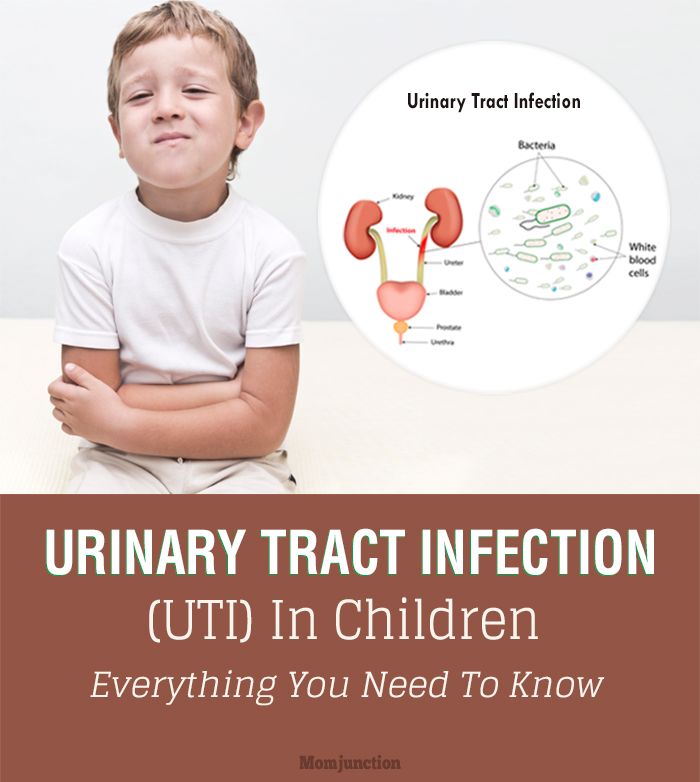 56 Best Of What Are The Symptoms Of Urinary Tract Infection In Babies ...