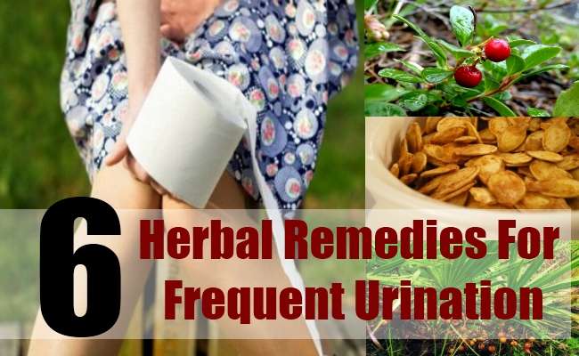 6 Herbal Remedies For Frequent Urination  Natural Home Remedies ...