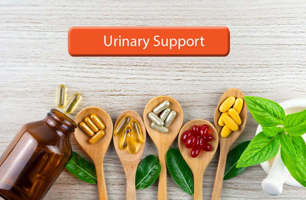 6 Hidden Causes of Urinary Issues