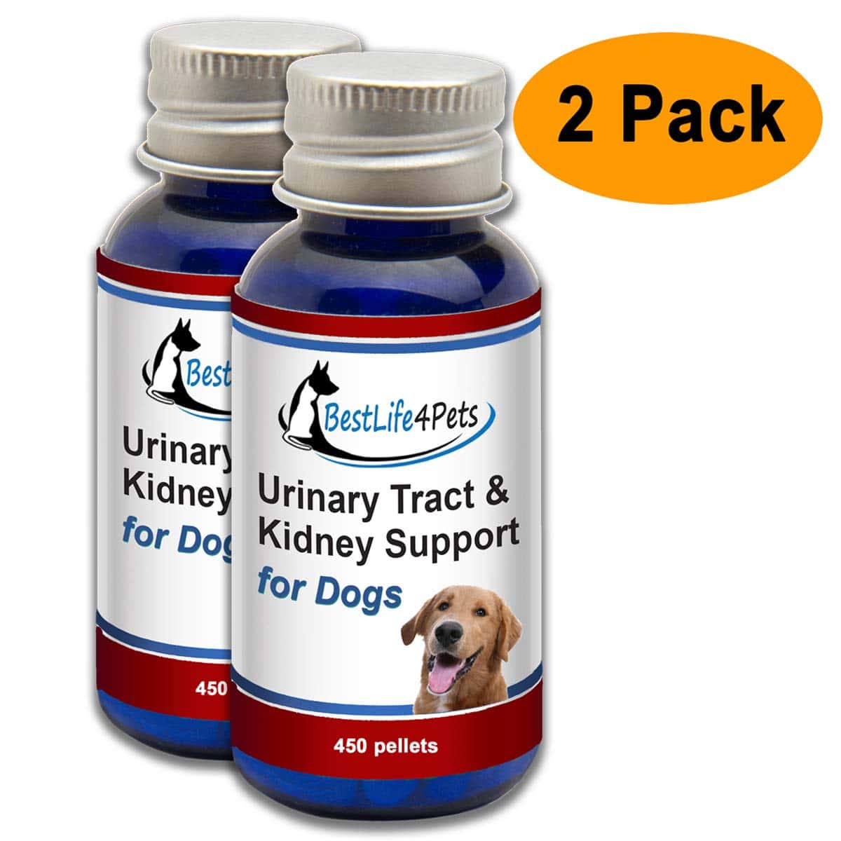 Amazon.com : BestLife4Pets Urinary Tract and Kidney Support for Dogs ...
