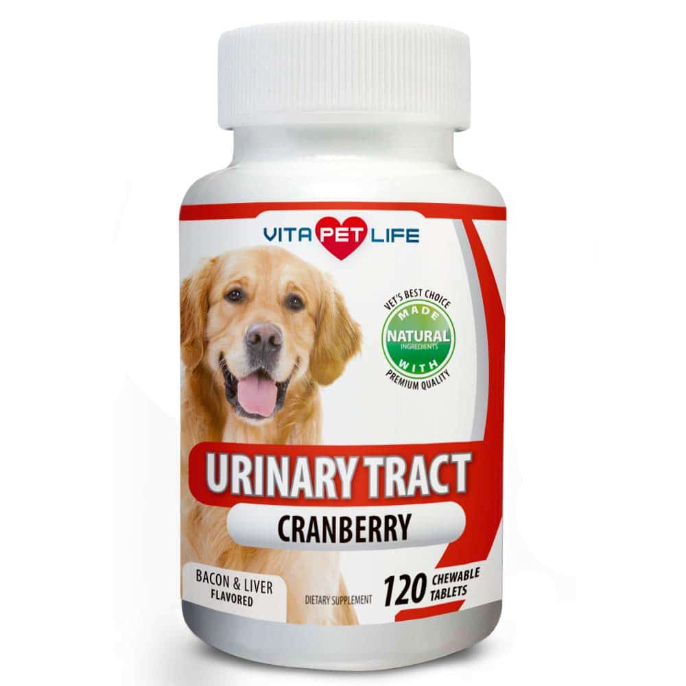 Amazon.com : Cranberry for Dogs, Urinary Tract Support, Antioxidants ...