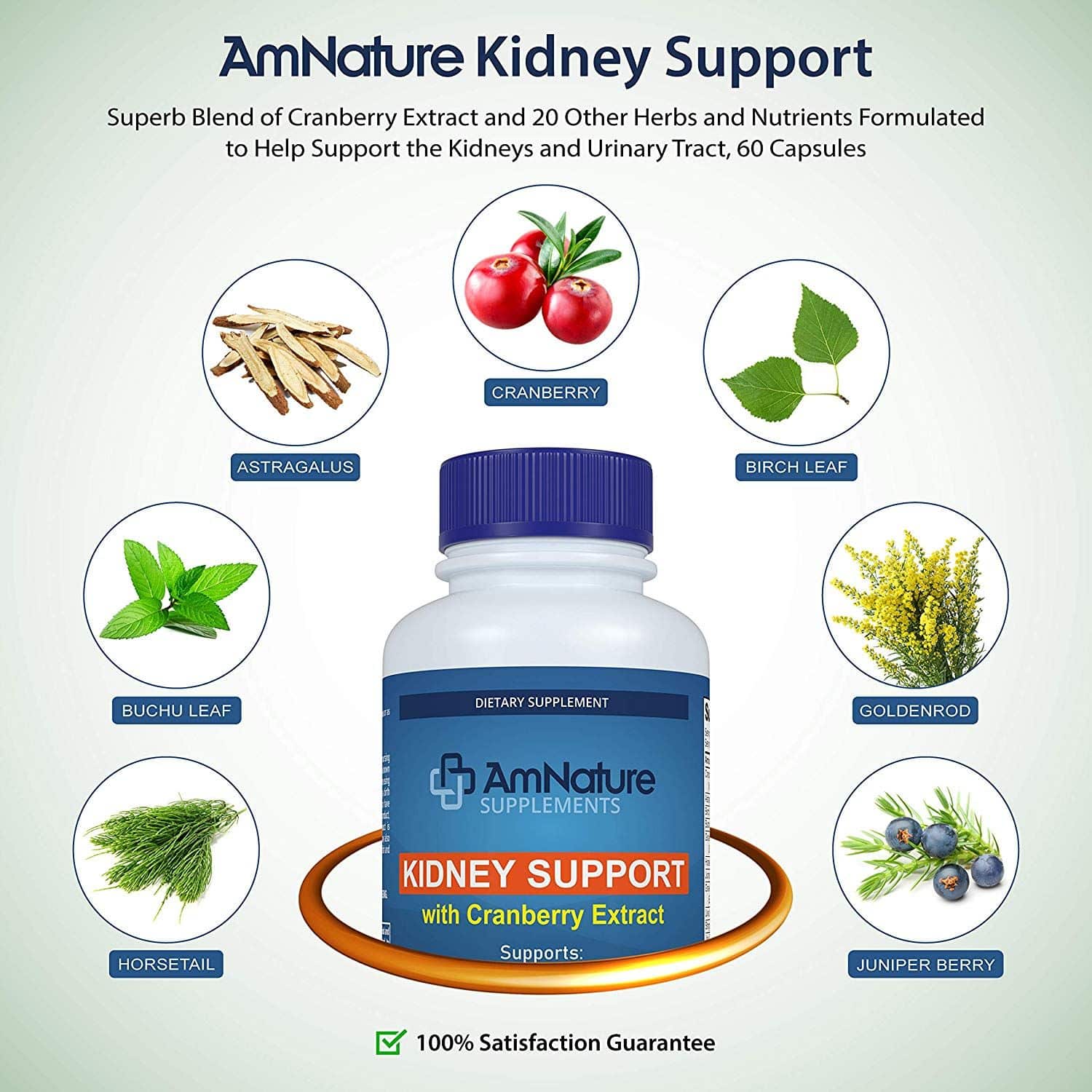 AmNature Kidney Support with Bladder Health &  Urinary Tract System ...