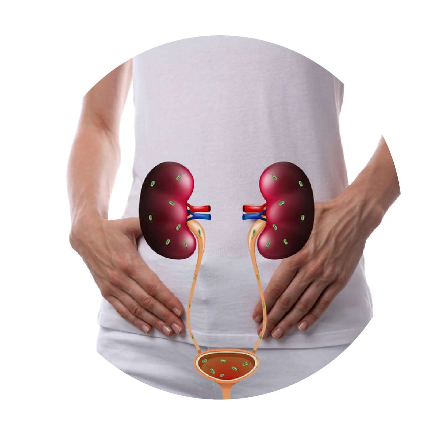 Ayurvedic Treatment for Urinary Tract Problems