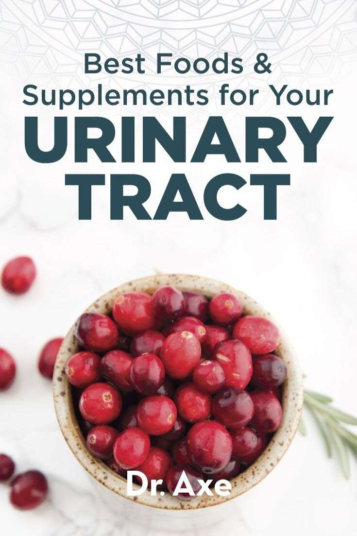 Best Foods and Supplements for Urinary Tract Health in ...