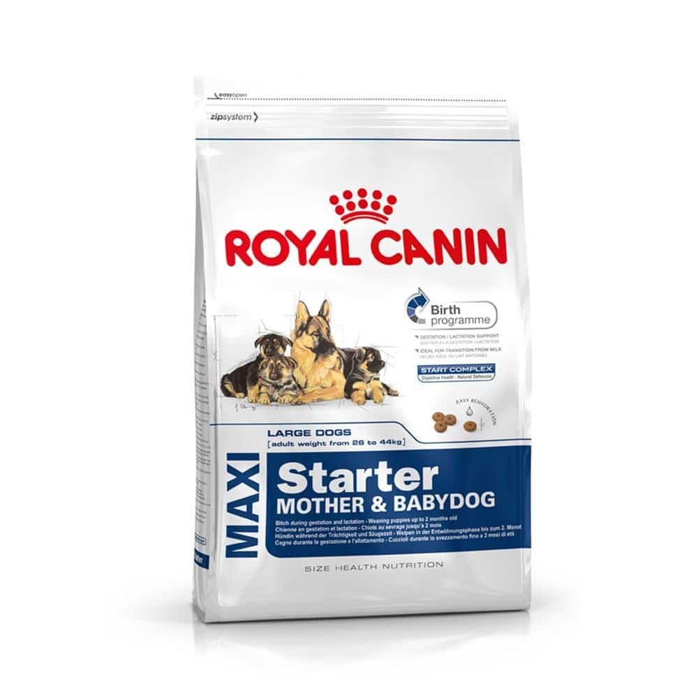 Buy Royal Canin Maxi Starter Online @ â¹7500 from ShopClues