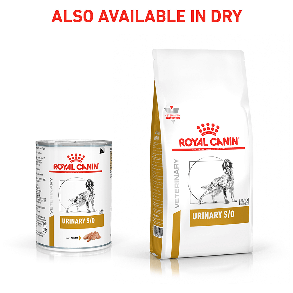 Buy Royal Canin Veterinary Urinary So Wet Dog Food Cans Online