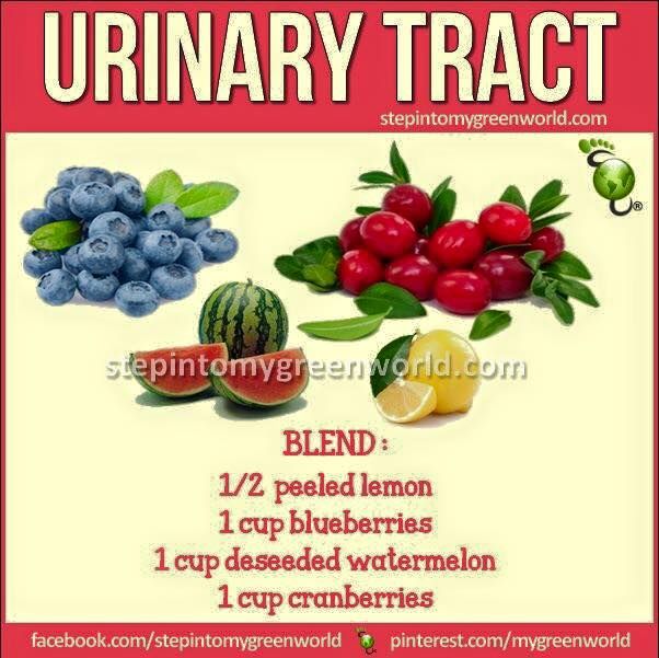 By popular demand again: Urinary Tract...