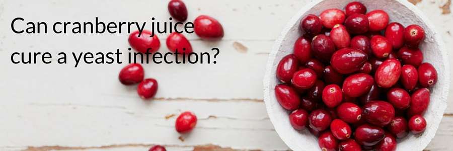 Can cranberry juice cure a yeast infection?