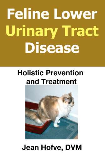 Cat Urinary Tract Infection Treatment