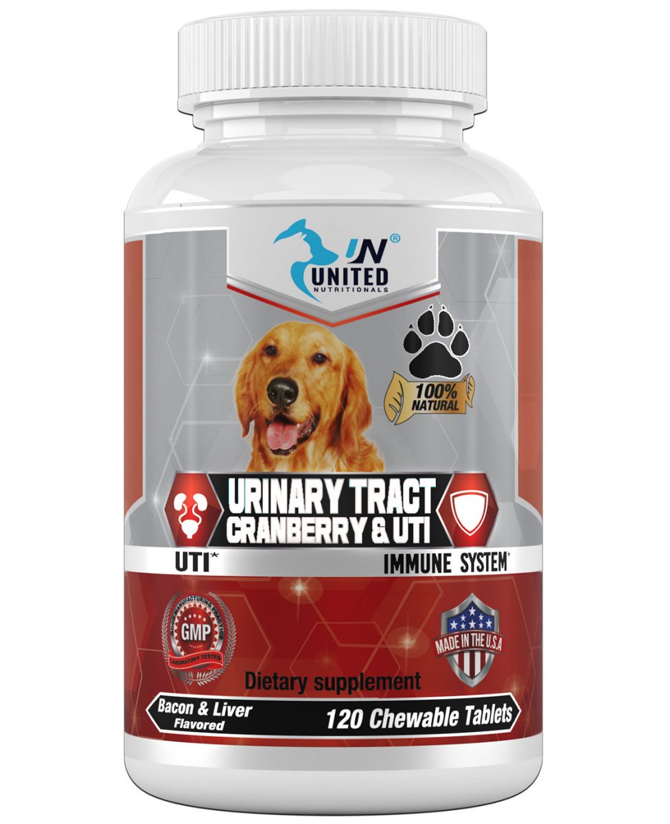 Cranberry for Dogs, Urinary Tract and UTI Support, Antioxidants ...