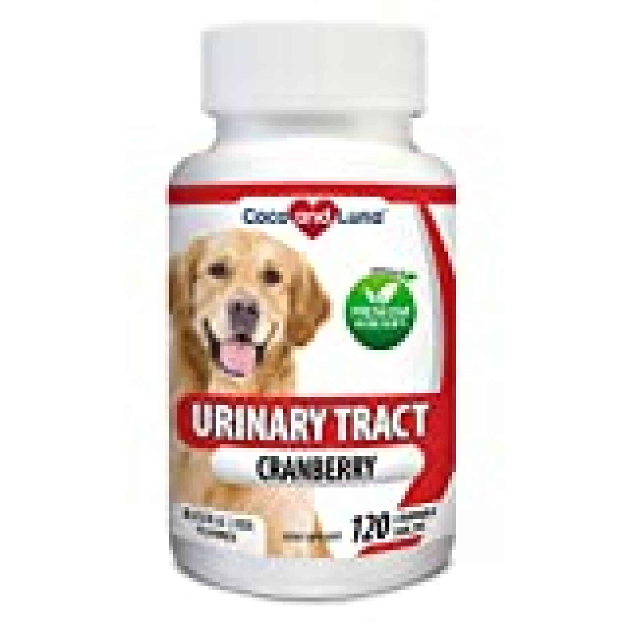 Cranberry for Dogs