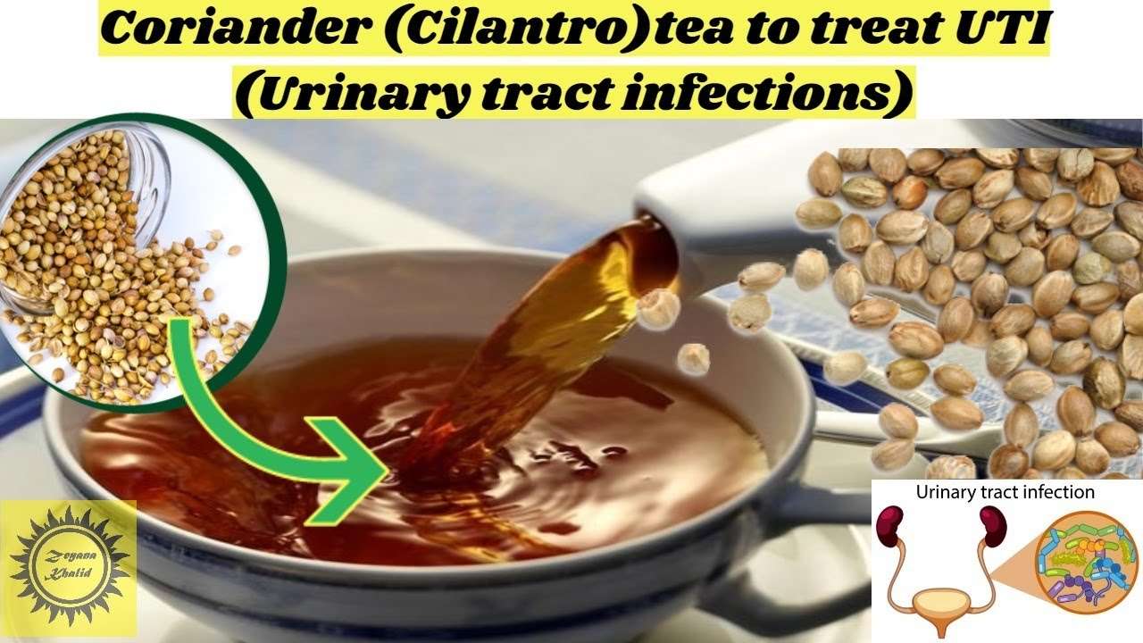 Drink this magical tea to treat (UTI) Urinary tract infections