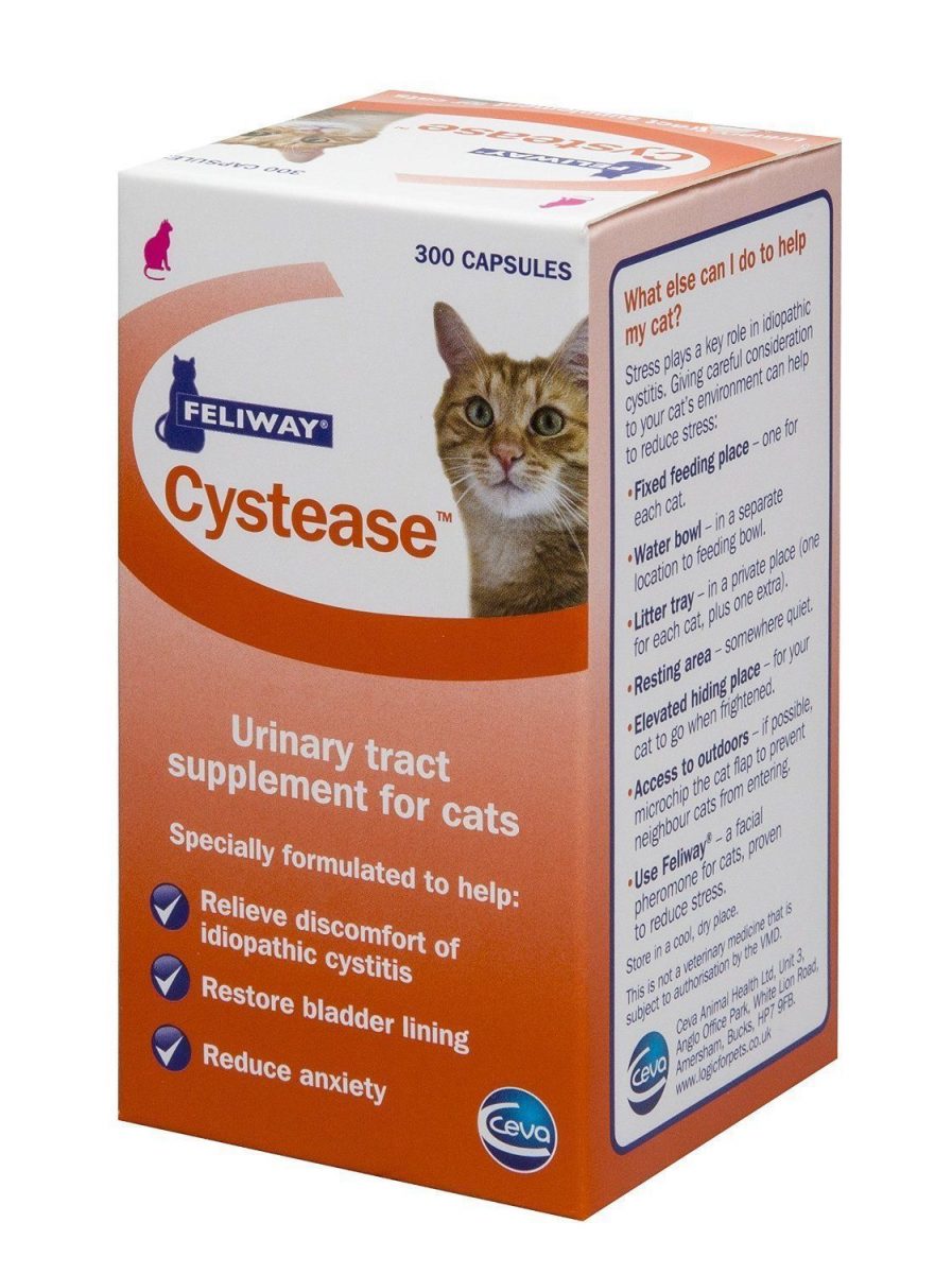 Feliway Cats Cystease Capsules Urinary Tract Bladder Supplement 300 ...