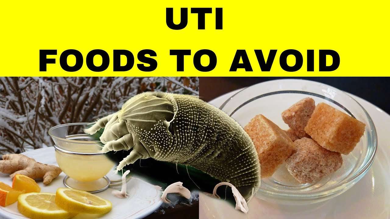 Foods To Avoid With Uti : 11 Ways To Prevent Urinary Tract Infection ...