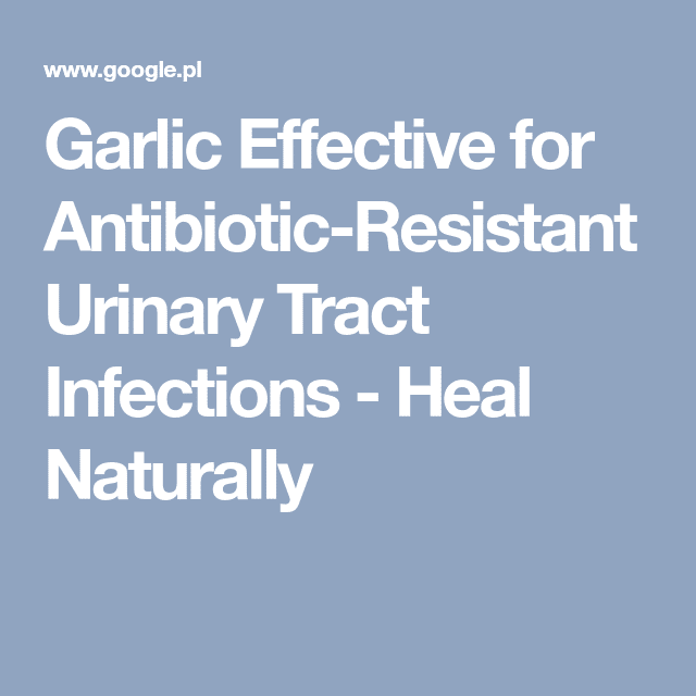 Garlic Effective for Antibiotic