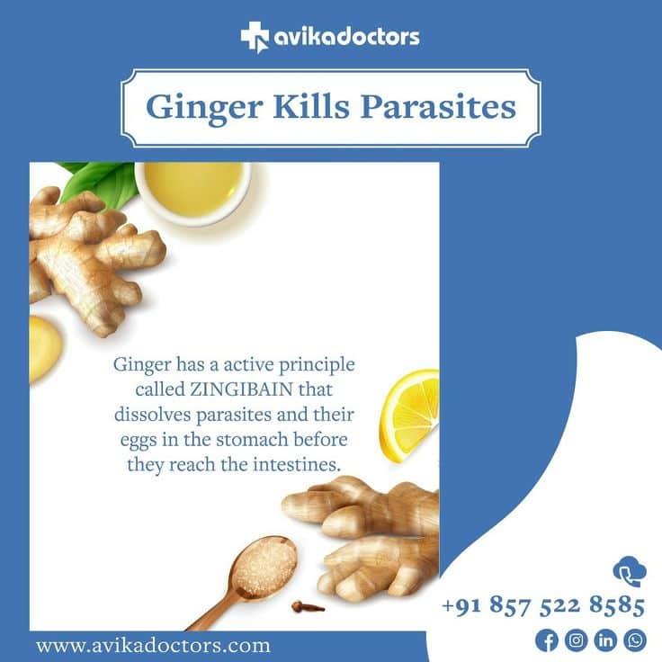 Ginger Kills Parasites in 2020