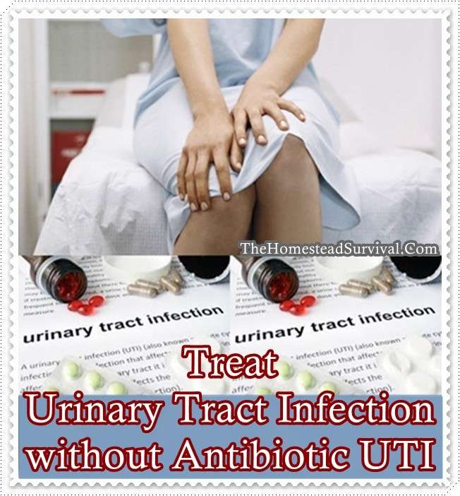 Healing Urinary Tract Infection Without Antibiotics