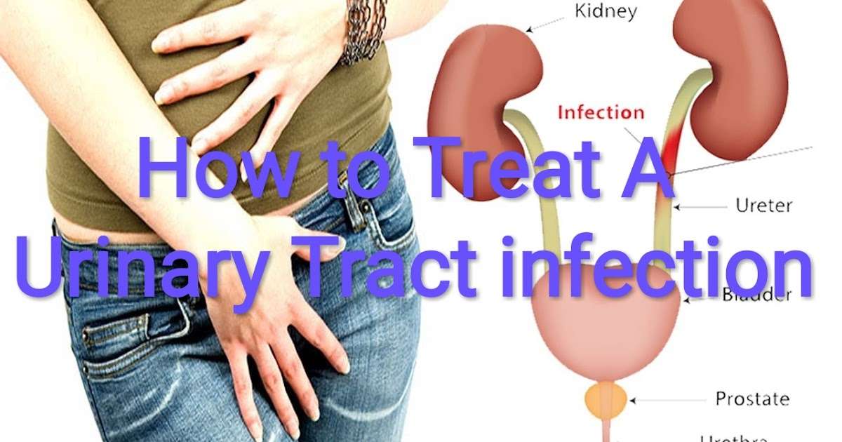 Healthcare &  Health solution: How to Treat A Urinary Tract ...
