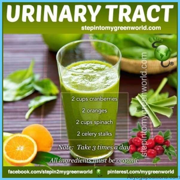 HERBAL REMEDIES for Urinary Tract Infections