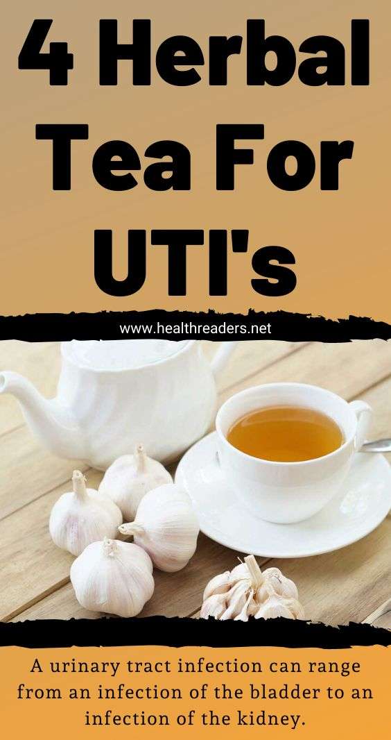 Herbal Tea That Helps You with Urinary Tract Infection (UTI)