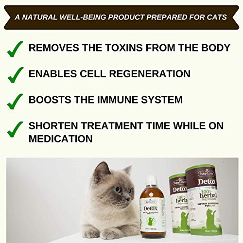 heyLove Natural Detox Herbal Dietary Supplement for Cats  Distilled ...