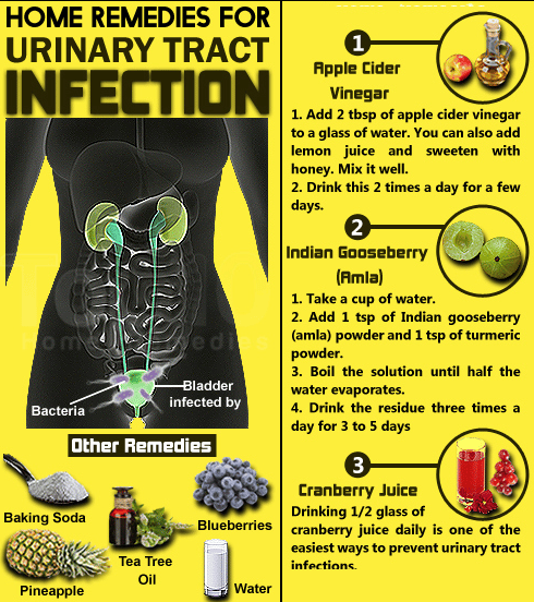 Home remedies for Urinary Tract Infection #uti #homeremedy # ...