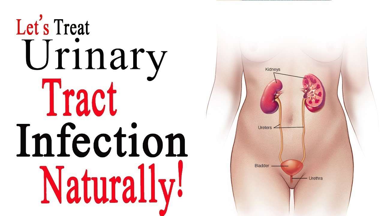 Home Remedies for Urinary Tract Infection (UTI) in Women ...