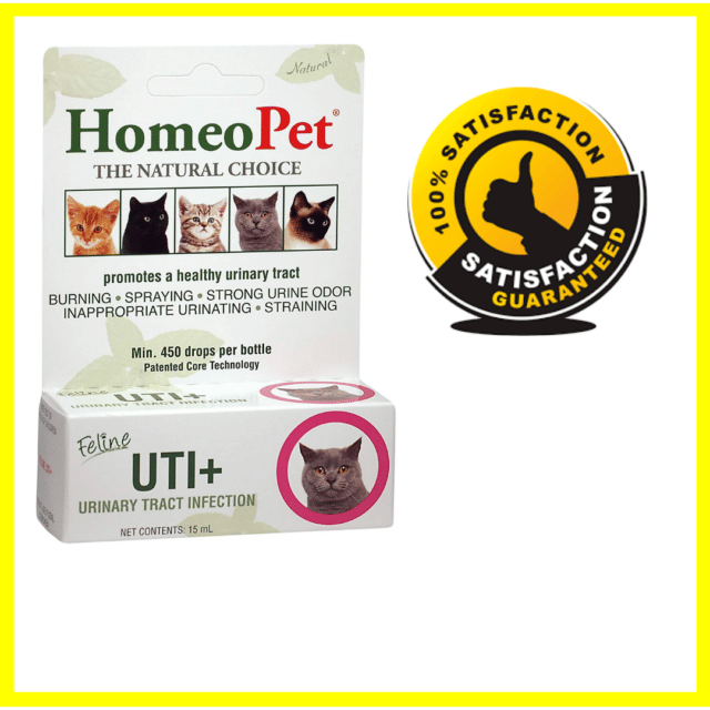 HomeoPet UTI Plus Urinary Tract Infection For Cats, No Known Side ...