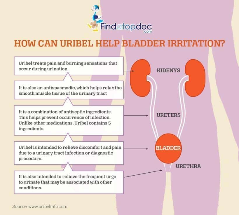 How Can Uribel Help Bladder Irritation? [Infographic]