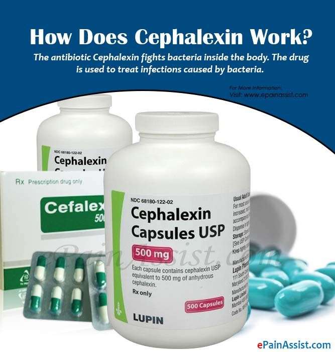 How Does Cephalexin Work?