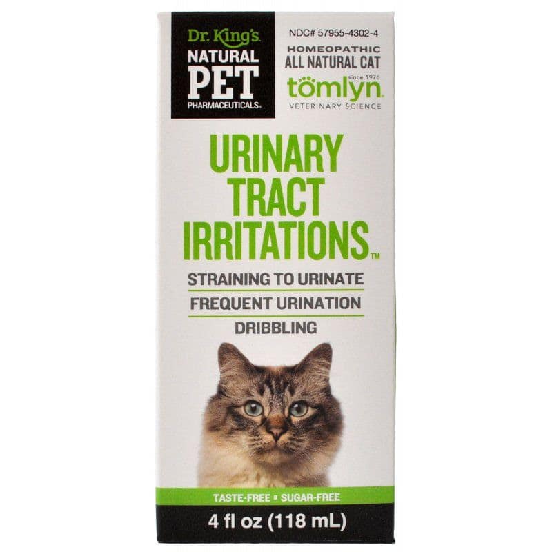 How To Treat Urinary Tract Infection In Cats Naturally