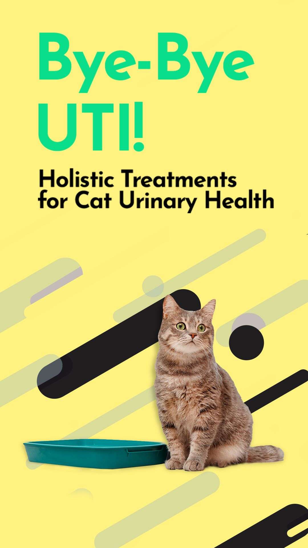 If youâre worried about your catâs urinary health, youâre ...