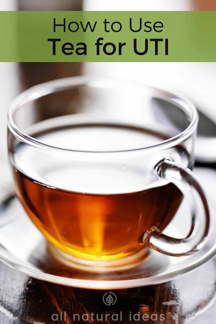 Is tea for UTI an effective herbal remedy?