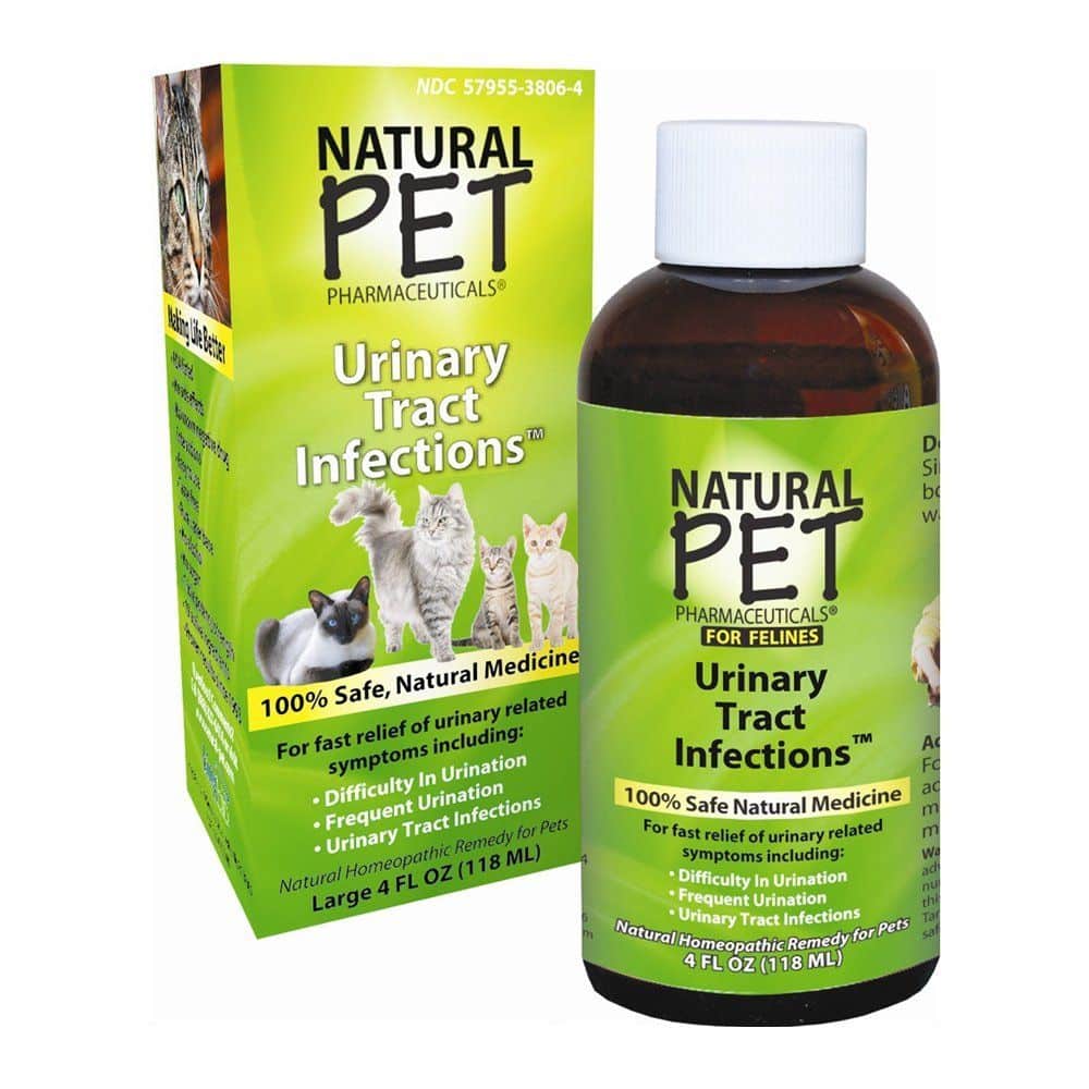 King Bio Natural Pet Urinary Tract Infections for Felines Large