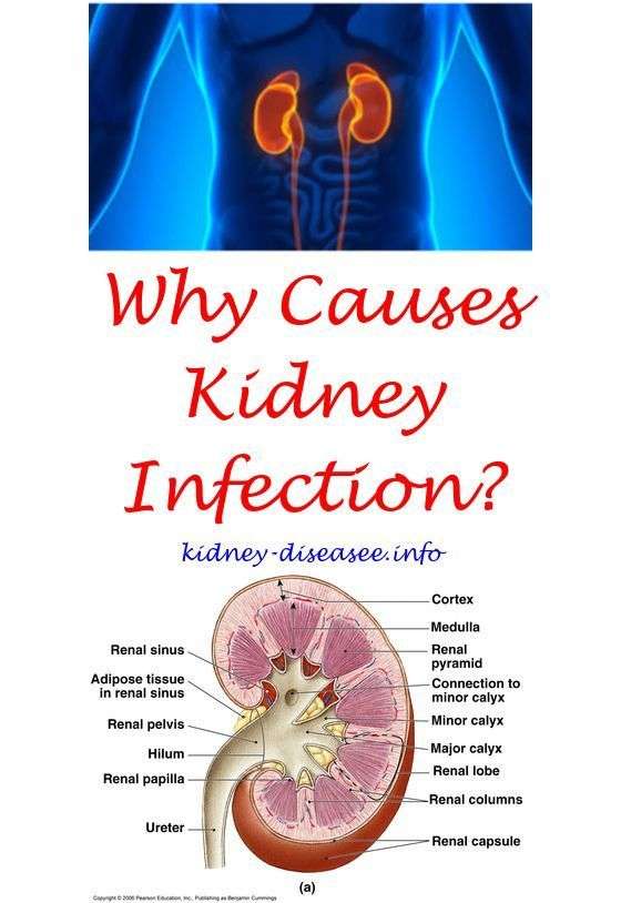 Lower Back Pain Symptoms Of Kidney Infection