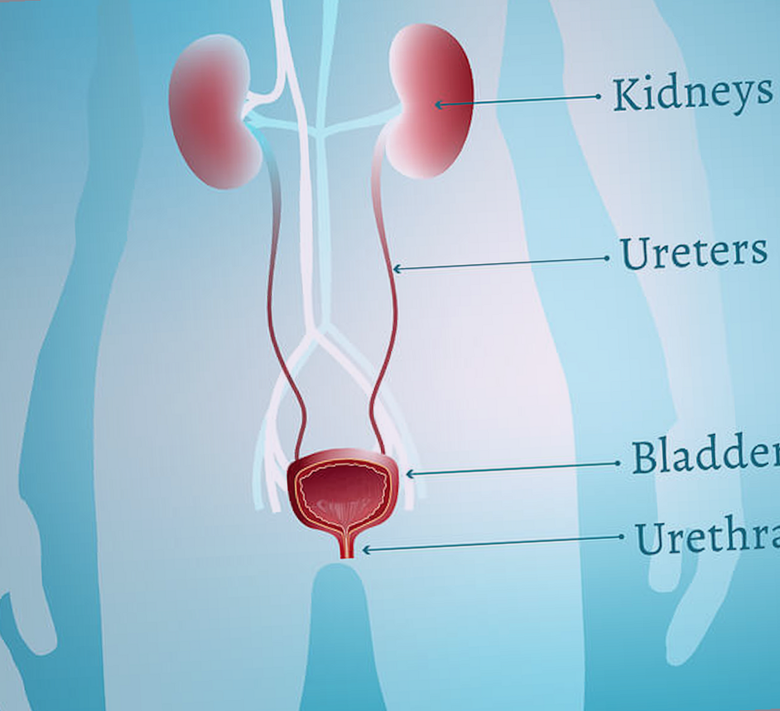 Medications For Urinary Tract Infection