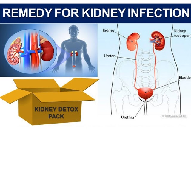 NATURAL REMEDIES FOR KIDNEY INFECTION AND DISEASE. GET RID OF KIDNEY ...