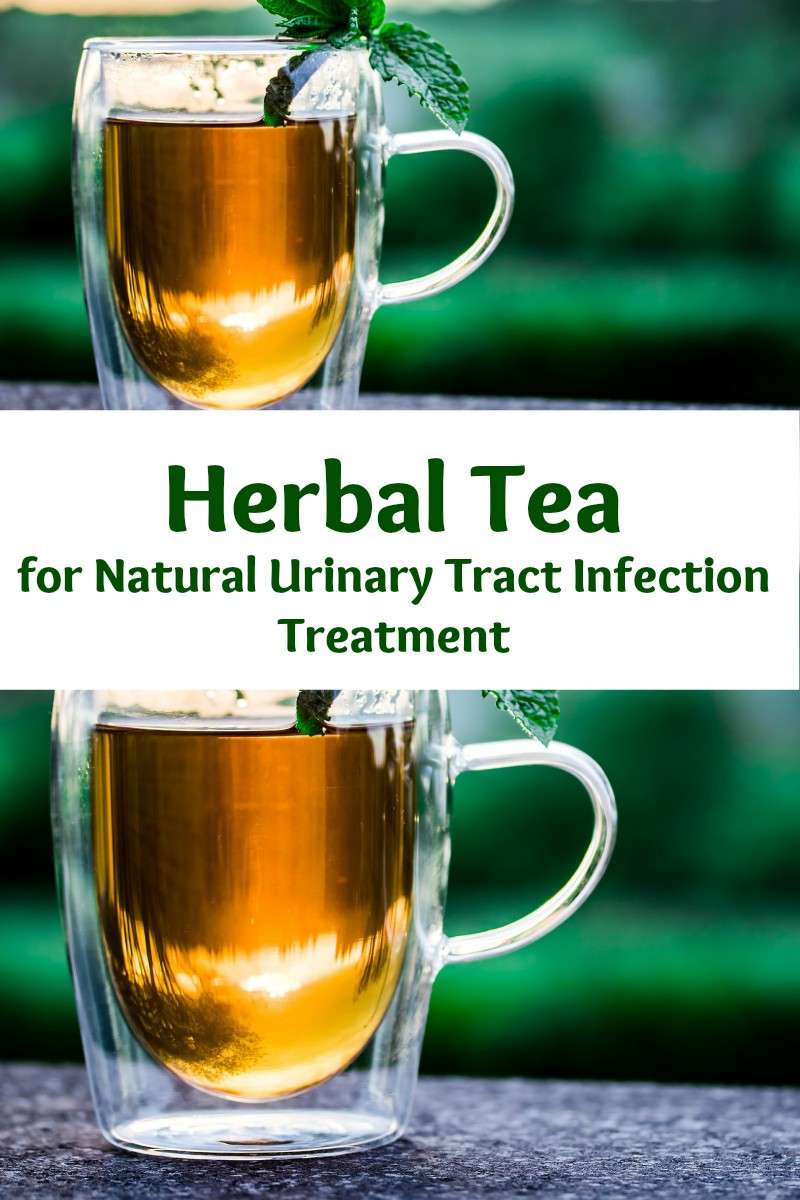 Natural Urinary Tract Infection Treatment Herbal Tea Recipe