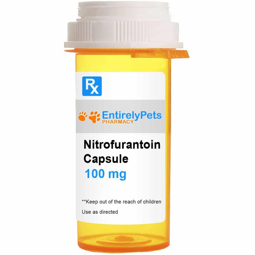 Nitrofurantoin Capsules 100mg (100 capsule)