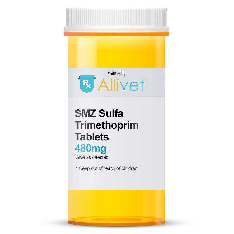 Order Online SMZ Sulfa Trimethoprim 480 mg for Dogs