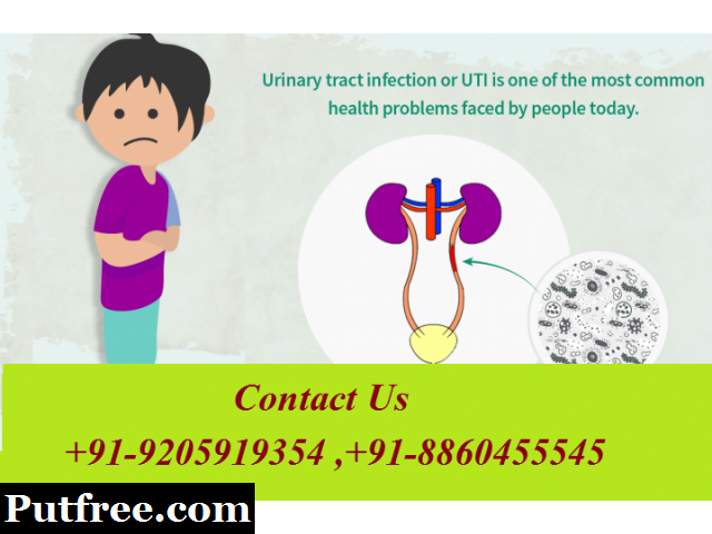 ph91 8860455545 urinary tract infection uti 1