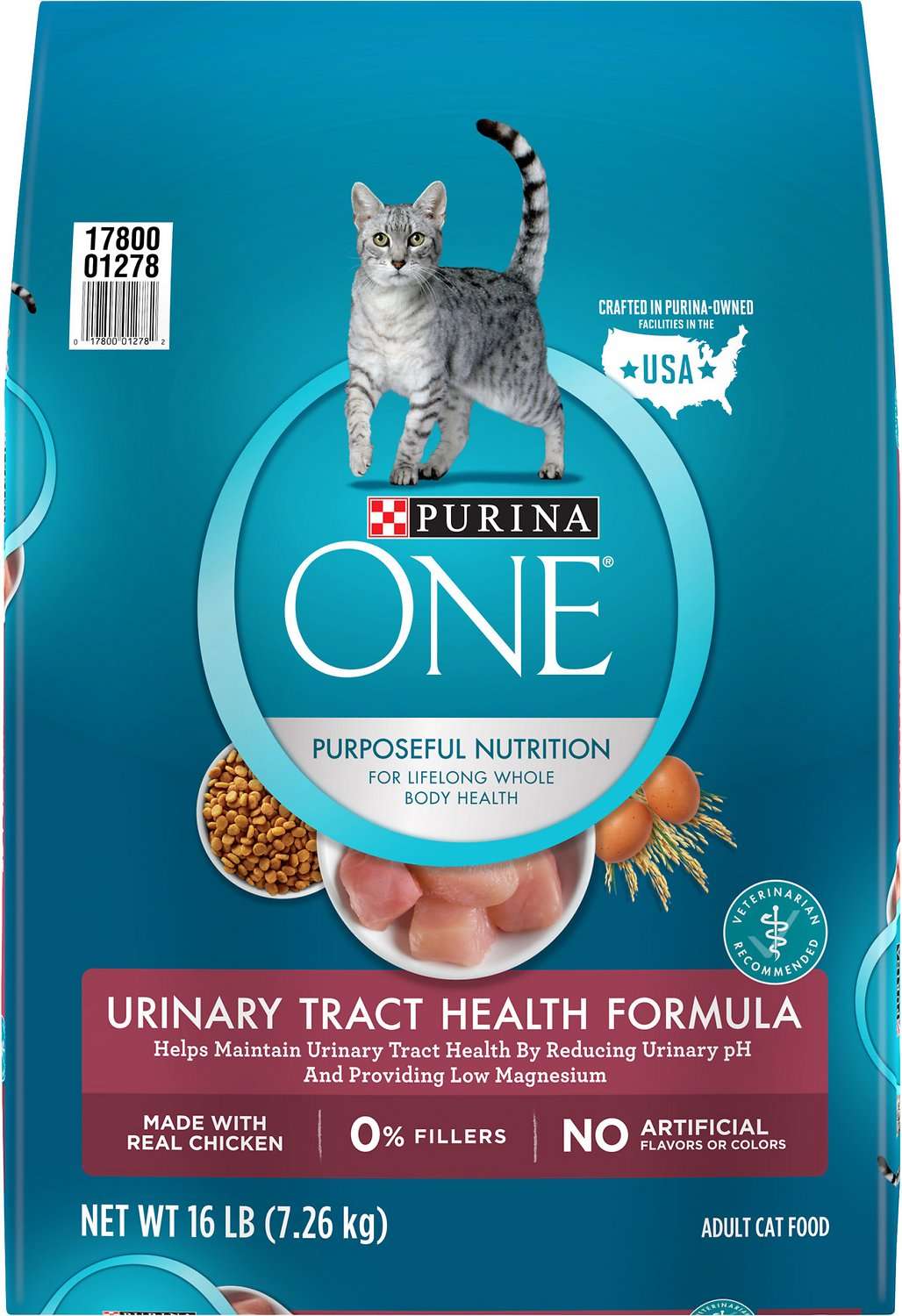 Purina ONE Urinary Tract Health Formula Adult Premium Dry ...