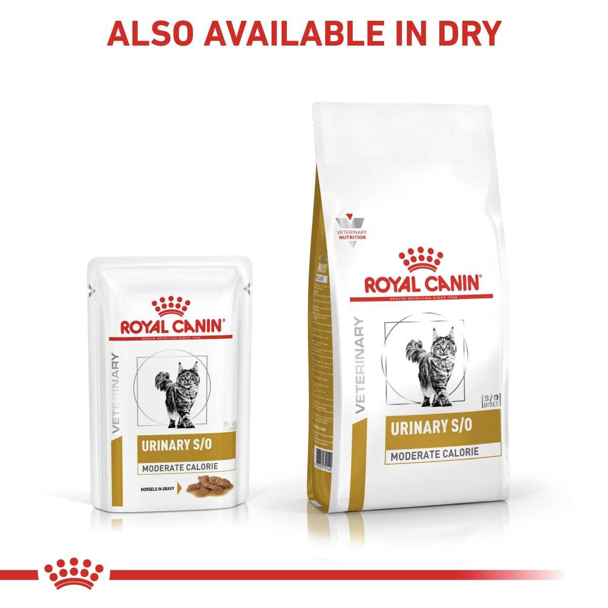 Royal Canin Feline Adult Urinary S/O Moderate Calorie Veterinary Diet ...