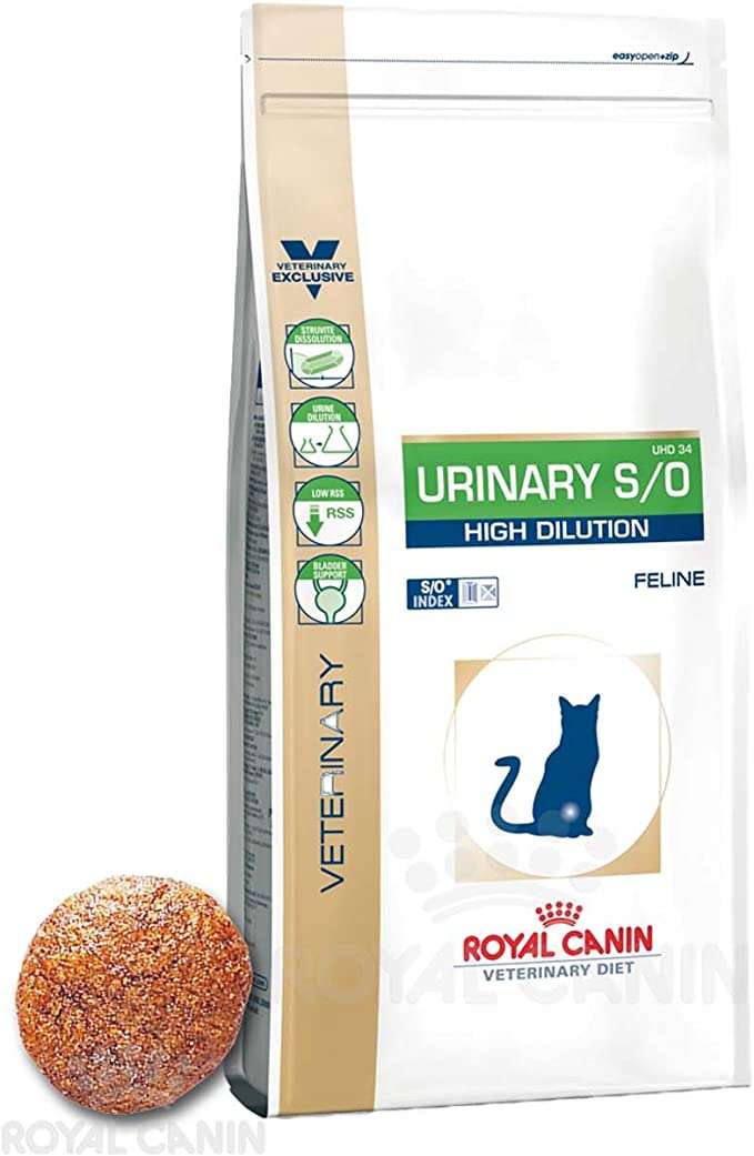 Royal Canin Feline Urinary S/O High Dilution 6 kg: Amazon.co.uk: Pet ...