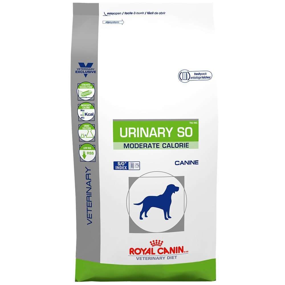 Royal Canin Veterinary Diet Canine Urinary SO Dry Dog Food ...