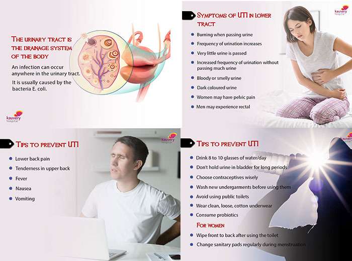 Summer Illness  UTI  Symptoms and Ways to Prevent ...